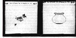 Percep��o macular simult�nea